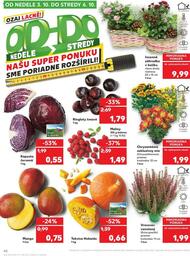 42. stránka Kaufland letáku