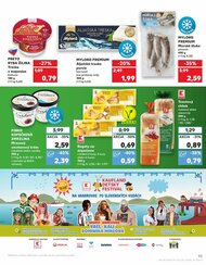 45. stránka Kaufland letáku