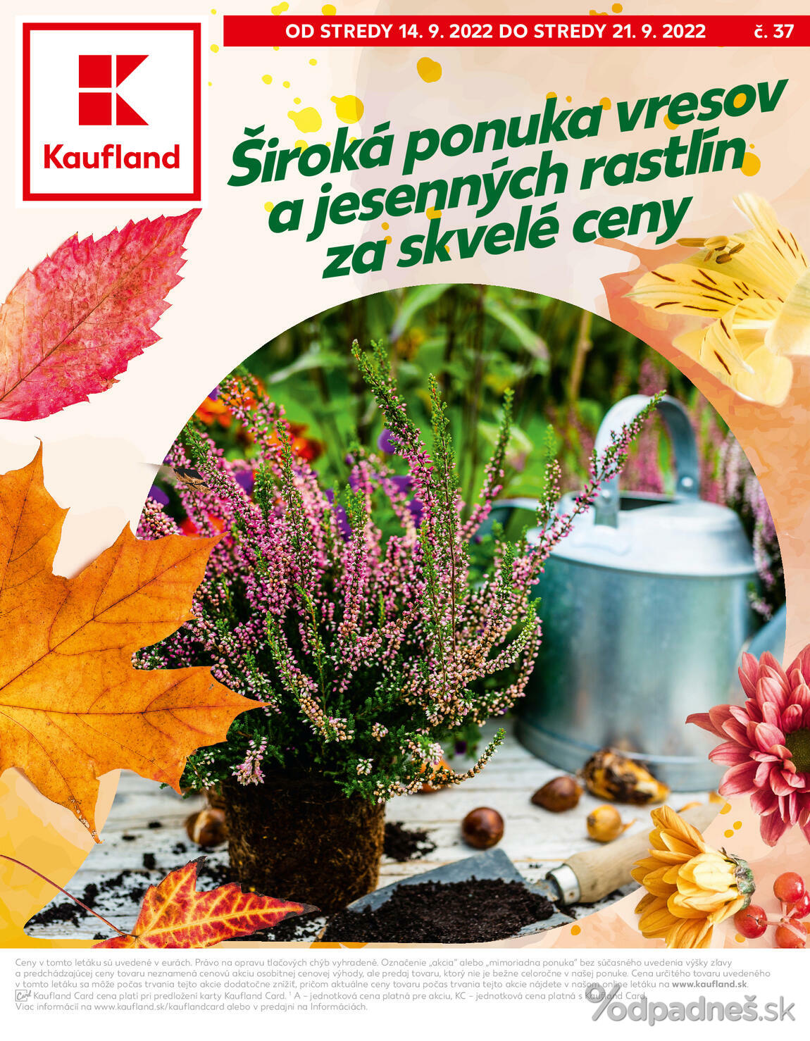 1. stránka Kaufland letáku