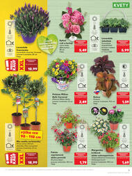 5. stránka Kaufland letáku