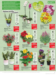 5. stránka Kaufland letáku