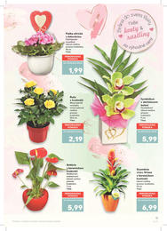 11. stránka Kaufland letáku