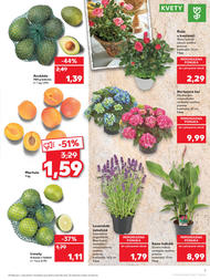 7. stránka Kaufland letáku
