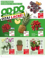 42. stránka Kaufland letáku