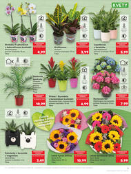 5. stránka Kaufland letáku