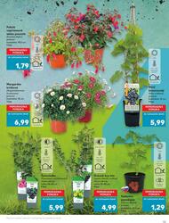 13. stránka Kaufland letáku