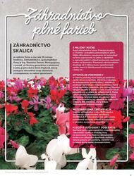 5. stránka Kaufland letáku