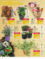 8. stránka Kaufland letáku