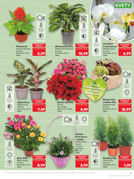 5. stránka Kaufland letáku