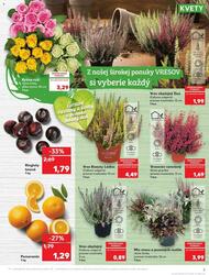 3. stránka Kaufland letáku