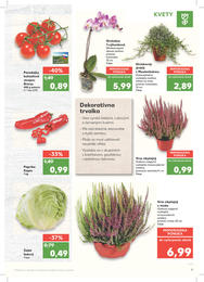 9. stránka Kaufland letáku