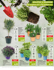 7. stránka Kaufland letáku