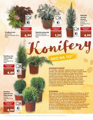 5. stránka Kaufland letáku