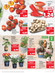 11. stránka Kaufland letáku