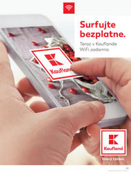 45. stránka Kaufland letáku