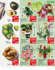 5. stránka Kaufland letáku