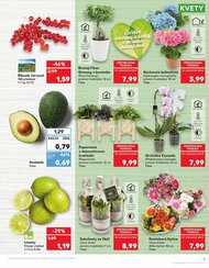 5. stránka Kaufland letáku