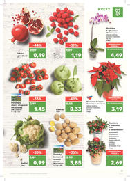 17. stránka Kaufland letáku