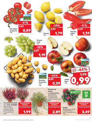 3. stránka Kaufland letáku