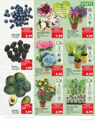 3. stránka Kaufland letáku