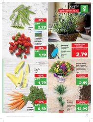 23. stránka Kaufland letáku