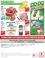 48. stránka Kaufland letáku