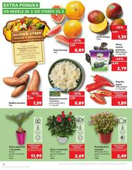 42. stránka Kaufland letáku