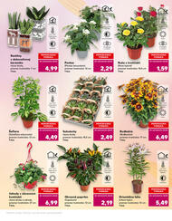 5. stránka Kaufland letáku