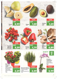 9. stránka Kaufland letáku