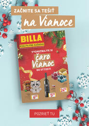 26. stránka Billa letáku