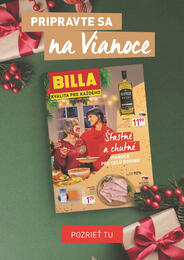 27. stránka Billa letáku