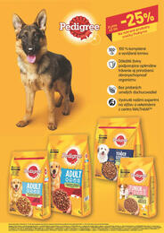 31. stránka Billa letáku