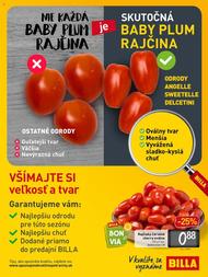 3. stránka Billa letáku