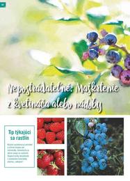 42. stránka Hornbach letáku