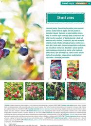 43. stránka Hornbach letáku