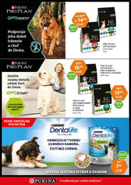 2. stránka Pet Center letáku