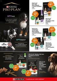 4. stránka Pet Center letáku