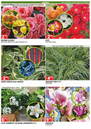 8. stránka Merkury Market letáku