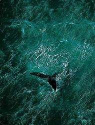 43. stránka Fotolab.sk letáku