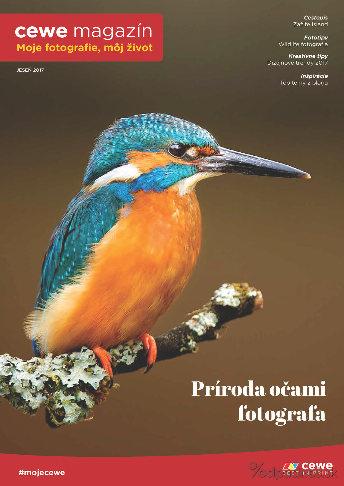 1. stránka Fotolab.sk letáku