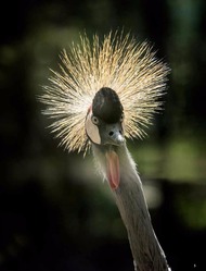 5. stránka Fotolab.sk letáku