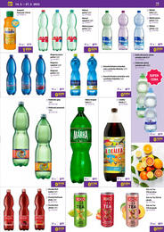 15. stránka Libex letáku