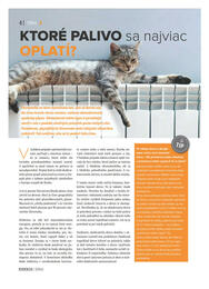 4. stránka Kinekus letáku