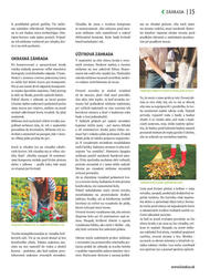 15. stránka Kinekus letáku