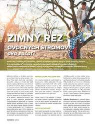 8. stránka Kinekus letáku