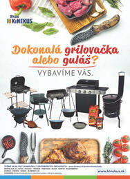 2. stránka Kinekus letáku