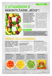 3. stránka Ilas letáku