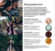 52. stránka Oriflame letáku