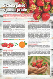 15. stránka Fresh letáku