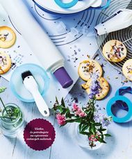 31. stránka Tupperware letáku